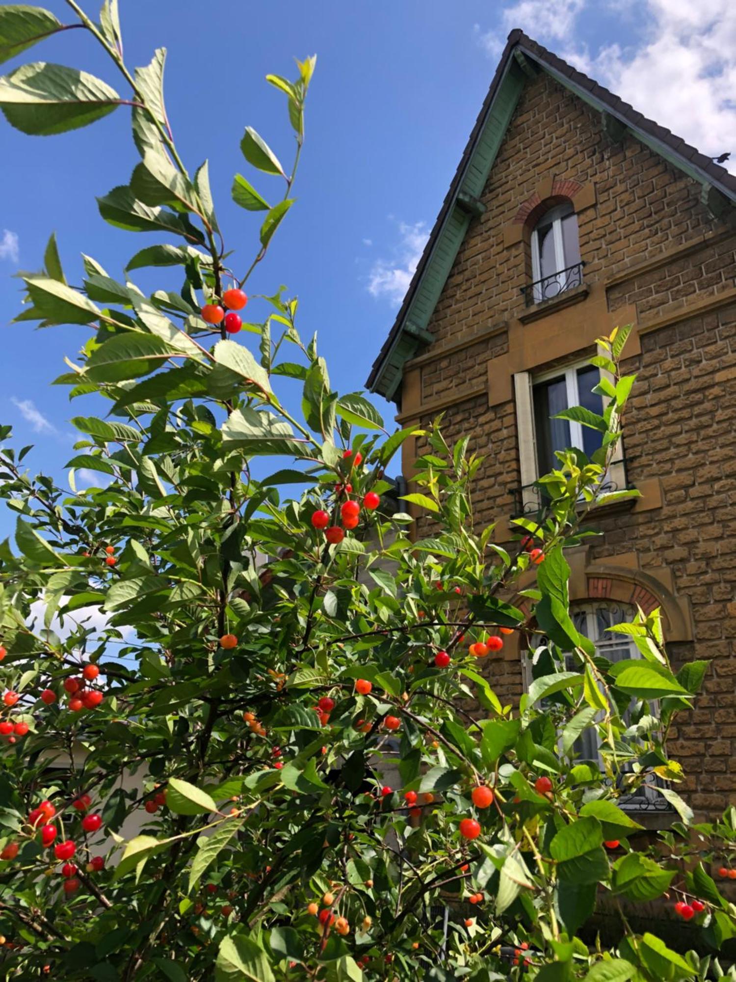 Villa Bonne Entente Donchery 외부 사진
